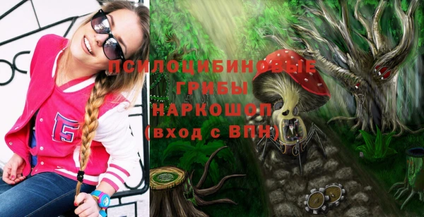 хмурый Осташков