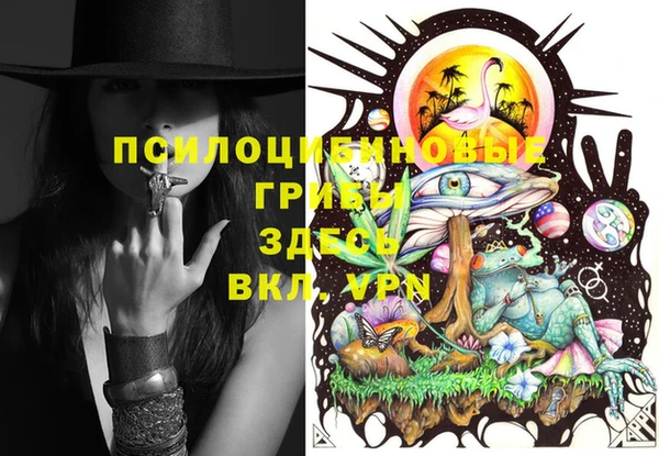 крисы Абдулино