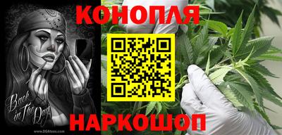 круглые Камышлов