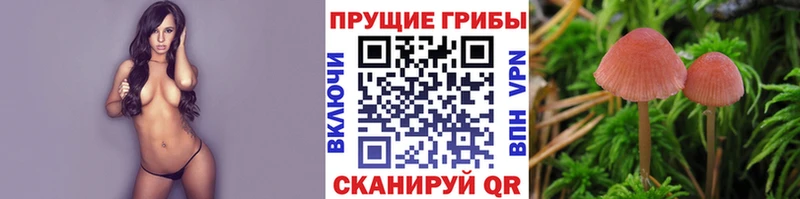 Псилоцибиновые грибы MAGIC MUSHROOMS  купить наркотик  Лиски 