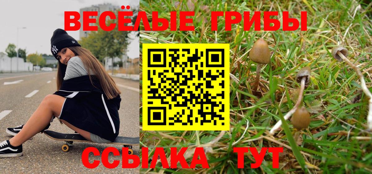 Псилоцибиновые грибы Psilocybe  Вход с VPN  Галлюциногенные грибы Psilocybe  Лиски 