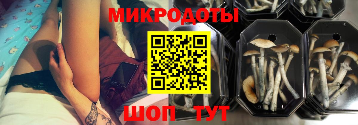 Галлюциногенные грибы мухоморы Лиски